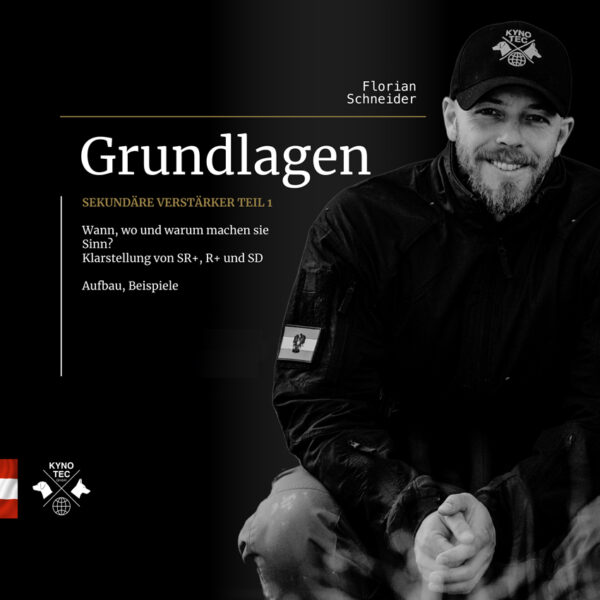 In diesem Webinar beschäftigen wir uns mit dem Thema Sekundärverstärker im Hundetraining, um das Verhalten unserer Hunde positiv zu beeinflussen. Wir erläutern die grundlegenden Konzepte der Verstärker: Primäre Verstärker sind natürliche Belohnungen wie Futter, während sekundäre Verstärker durch Assoziation mit primären Verstärkern entstehen. Wir erklären, wie sekundäre Verstärker effektiv aufgebaut werden können. Es ist wichtig, dem Hund durch akustische Signale, wie das Klicken eines Klickers oder spezifische Pfiffe, eine Belohnung anzukündigen. Die korrekte Reihenfolge der Reize ist entscheidend – zuerst die Ankündigung und dann die Belohnung. Des Weiteren betonen wir, dass die Konditionierung eines Sekundärverstärkers durch häufige Wiederholungen geschehen sollte, wobei der Hund lernen soll, dass ein bestimmtes Geräusch eine positive Emotion oder Vorfreude auslöst. Dabei ist es wichtig, die Vorlieben und Bedürfnisse jedes Hundes zu berücksichtigen, um sicherzustellen, dass die Belohnungen als ansprechend empfunden werden. Zusammengefasst bietet das Webinar wertvolle Einblicke in die Wirksamkeit von Sekundärverstärkern im Hundetraining und praktische Tipps zur Implementierung dieser Techniken.