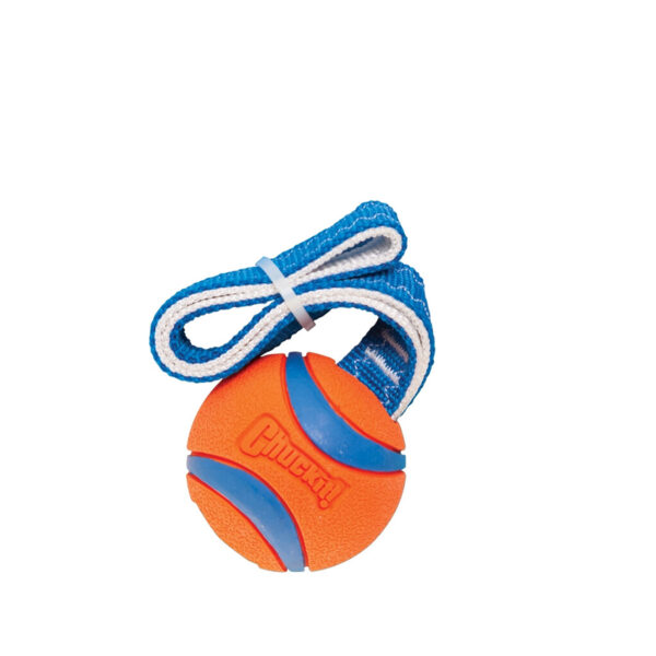Apportieren, ziehen und spielen mit Ihrem Hund. Einfach weg zu werfen durch das Band. Keine schmutzigen Hände mehr, weil man den Tennisball nicht mehr anfassen muß. Der originelle Chuckit! Ultra Tennisball ist verwendet. Ideal zum Ziehen mit Ihrem Hund.