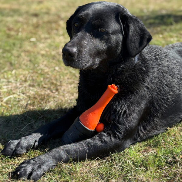 Hundespielzeug Dog Comets Bobber Orange - Image 2