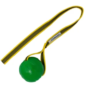 Befüllbarer Spielball mit befestigter Schnur für extraweite Würfe. Der vielseitige Ball mit zahnreinigender Oberfläche ist weich und kann mit verschiedenen Leckerli bestückt werden. Die befestigte Schnur ist sehr stabil und macht das Spielzeug ideal zum Werfen, Ziehen und Zerren. In zwei Größen erhältlich.