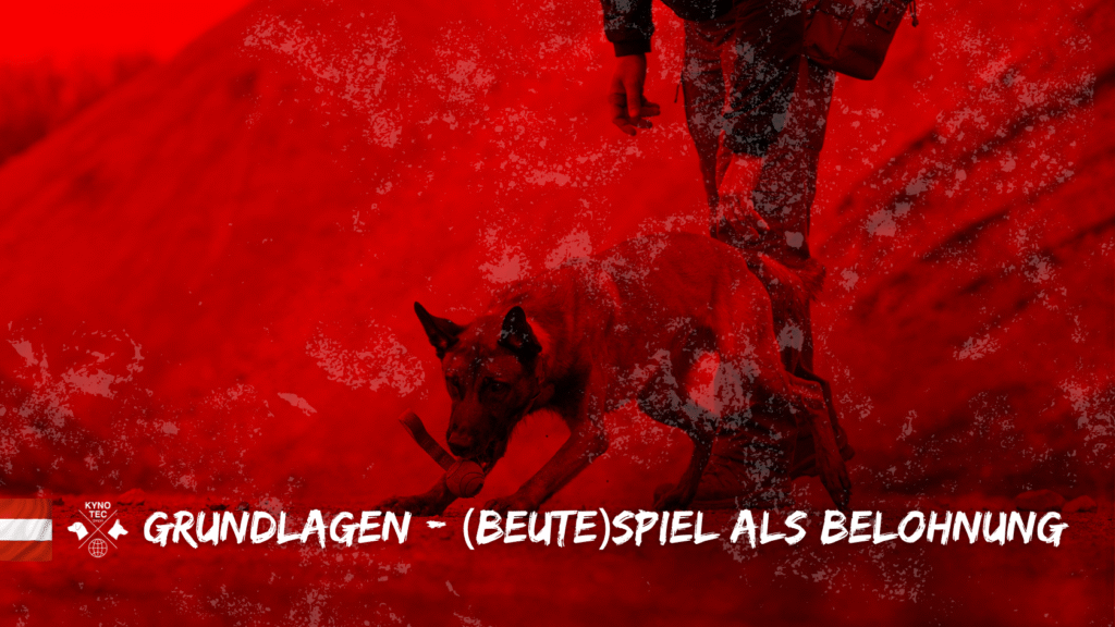 Spürhunde - Grundlagen - (Beute-)Spiel als Belohnung