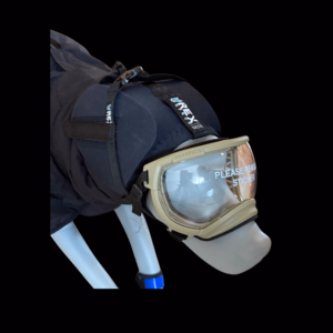 Rex speces Gehörschutz und Brille