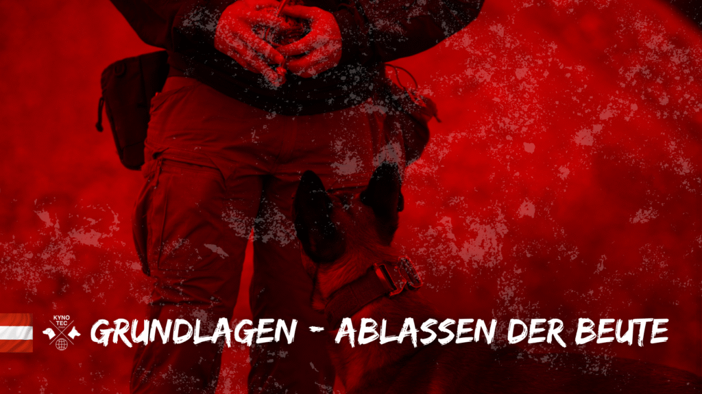 Ablassen der Beute - der Ideale Weg und für konfliktbelastete Hunde