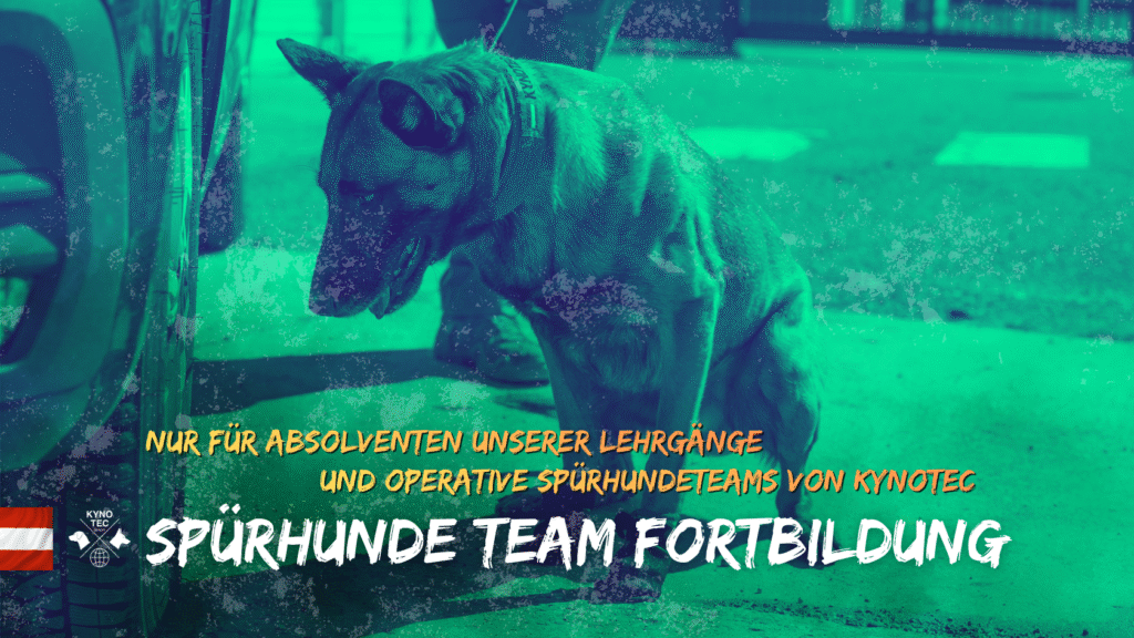 Dieser Workshop ist exklusiv für ehemalige Teilnehmer:innen unserer Kynotec-Lehrgänge – also Absolvent:innen des Grundkurses Spürhundeführer (