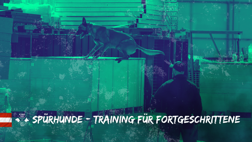 Dieser Workshop richtet sich an alle Interessierten, die bereits mit Spürhunden arbeiten oder ihr Wissen in diesem Bereich vertiefen möchten – unabhängig davon, ob sie bisher an einem Kynotec-Lehrgang teilgenommen haben.