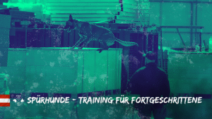 Dieser Workshop richtet sich an alle Interessierten, die bereits mit Spürhunden arbeiten oder ihr Wissen in diesem Bereich vertiefen möchten – unabhängig davon, ob sie bisher an einem Kynotec-Lehrgang teilgenommen haben.