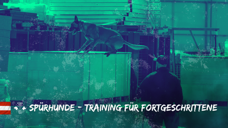 Dieser Workshop richtet sich an alle Interessierten, die bereits mit Spürhunden arbeiten oder ihr Wissen in diesem Bereich vertiefen möchten – unabhängig davon, ob sie bisher an einem Kynotec-Lehrgang teilgenommen haben.