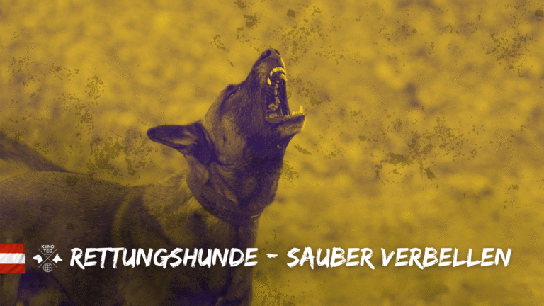 Der Verbeller ist ein zentrales Element in der Arbeit von Rettungshunden – aber auch im Diensthundewesen von hoher Bedeutung.