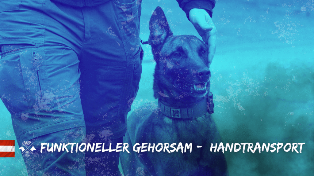 Der Handtransport ist ein zentraler Bestandteil des funktionellen Gehorsams – sowohl im Diensthundewesen als auch in der Rettungshundearbeit.