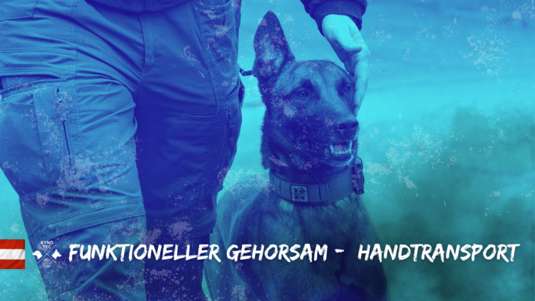 Der Handtransport ist ein zentraler Bestandteil des funktionellen Gehorsams – sowohl im Diensthundewesen als auch in der Rettungshundearbeit.