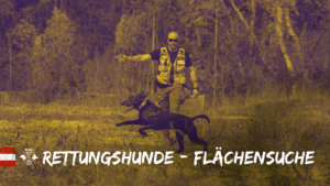 Die Flächensuche zählt zu den anspruchsvollsten Disziplinen in der Rettungshundearbeit.