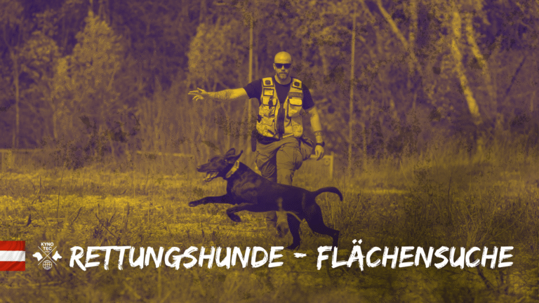 Die Flächensuche zählt zu den anspruchsvollsten Disziplinen in der Rettungshundearbeit.