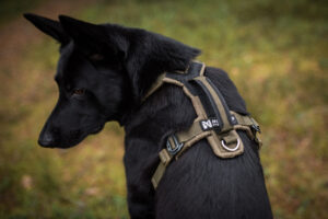 Die Line Harness Grip Defense ist ein extrem robustes, funktionales Hundegeschirr, das speziell für aktive Hunde und anspruchsvolle Einsätze entwickelt wurde. Ob beim Wandern, im Alltag oder im professionellen Einsatz – dieses Geschirr bietet maximale Kontrolle, hohen Tragekomfort und höchste Sicherheit. Sicher und belastbar Dank des verstärkten Materials und der hoch belastbaren Schnallen ist das Geschirr besonders widerstandsfähig und langlebig. Der integrierte stabile Haltegriff auf dem Rücken ermöglicht es dir, deinen Hund in jeder Situation sicher zu führen oder kurzzeitig anzuheben – ideal für schwieriges Gelände oder urbane Umgebungen. Komfortabel und durchdacht Die ergonomische Passform sorgt für eine gleichmäßige Druckverteilung, ohne den Hund in seiner natürlichen Bewegung einzuschränken. Das weich gepolsterte Innenmaterial bietet hohen Tragekomfort, auch bei längeren Einsätzen. Dank der verstellbaren Gurte lässt sich das Geschirr optimal an die Körperform deines Hundes anpassen. Vielseitig einsetzbar Die Line Harness Grip Defense eignet sich perfekt für: Spaziergänge Training Wanderungen Arbeitseinsätze Durch die robusten Befestigungspunkte kann sowohl eine Leine für den Alltag als auch für sportliche Aktivitäten genutzt werden.