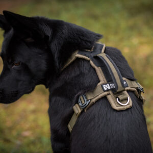 Die Line Harness Grip Defense ist ein extrem robustes, funktionales Hundegeschirr, das speziell für aktive Hunde und anspruchsvolle Einsätze entwickelt wurde. Ob beim Wandern, im Alltag oder im professionellen Einsatz – dieses Geschirr bietet maximale Kontrolle, hohen Tragekomfort und höchste Sicherheit. Sicher und belastbar Dank des verstärkten Materials und der hoch belastbaren Schnallen ist das Geschirr besonders widerstandsfähig und langlebig. Der integrierte stabile Haltegriff auf dem Rücken ermöglicht es dir, deinen Hund in jeder Situation sicher zu führen oder kurzzeitig anzuheben – ideal für schwieriges Gelände oder urbane Umgebungen. Komfortabel und durchdacht Die ergonomische Passform sorgt für eine gleichmäßige Druckverteilung, ohne den Hund in seiner natürlichen Bewegung einzuschränken. Das weich gepolsterte Innenmaterial bietet hohen Tragekomfort, auch bei längeren Einsätzen. Dank der verstellbaren Gurte lässt sich das Geschirr optimal an die Körperform deines Hundes anpassen. Vielseitig einsetzbar Die Line Harness Grip Defense eignet sich perfekt für: Spaziergänge Training Wanderungen Arbeitseinsätze Durch die robusten Befestigungspunkte kann sowohl eine Leine für den Alltag als auch für sportliche Aktivitäten genutzt werden.