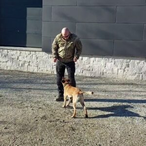 Verbeller 3- Technischer Helfer