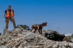 Du bekommst einen Online Plan zur Verfügung gestellt in dem du dich im Internet einloggen kannst, ausserdem gibt es zusätzlich eine gratis Handy App zur Nutzung Unterwegs.