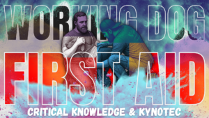 First Aid - critical knowlegede