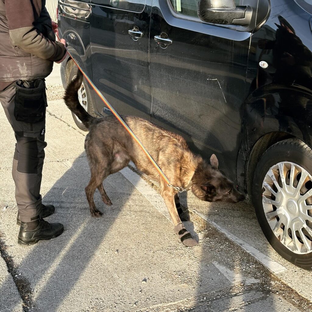 Spürhund 6 – Fahrzeuge