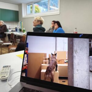 Spürhund 9 – Vorbereitung EBT