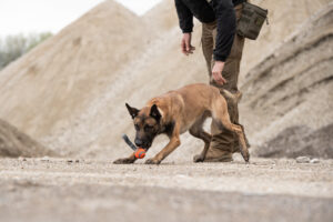 Grundlagen – Motivationsförderung durch das Hunting Game